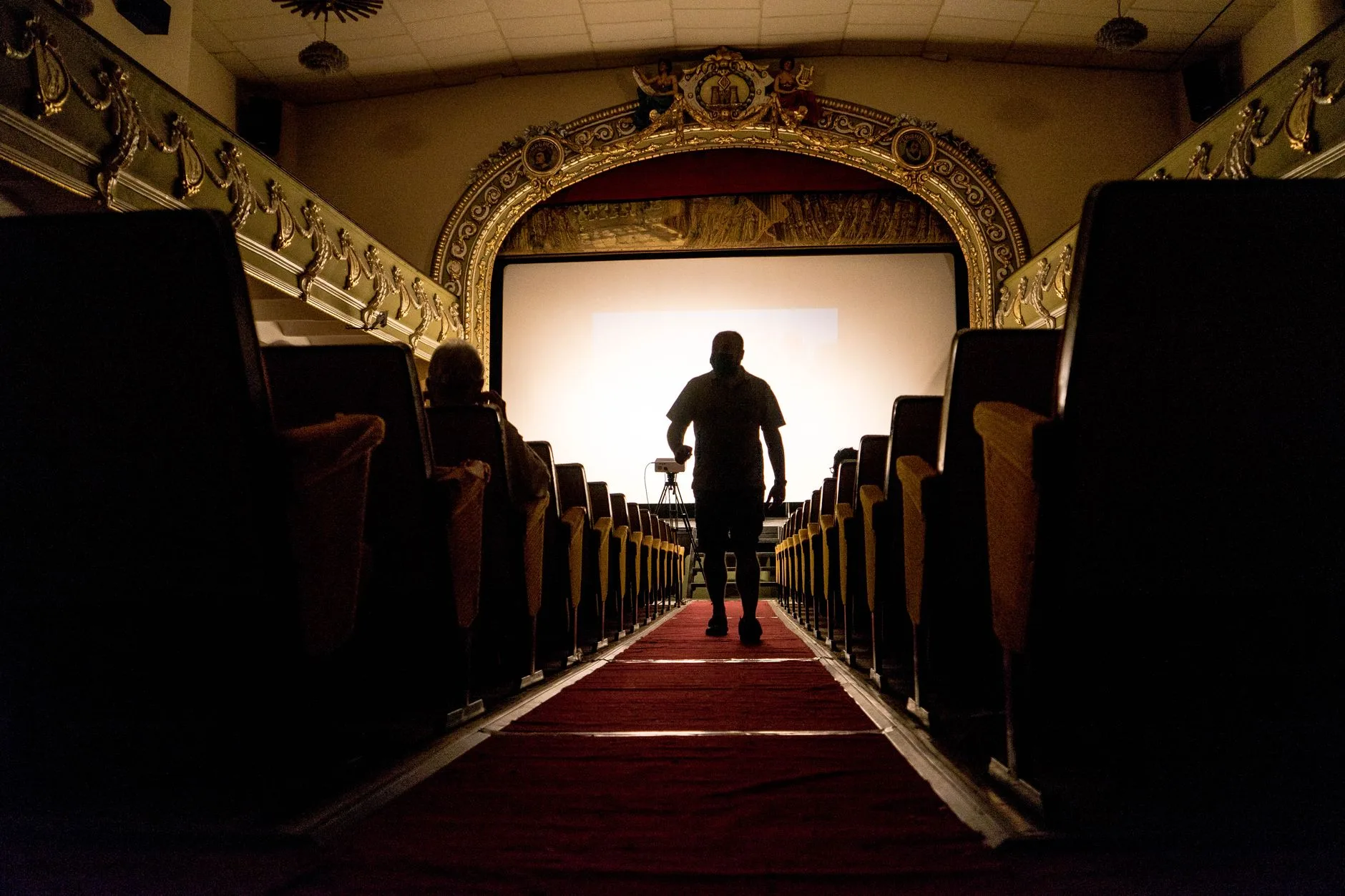 Film festivali atmosferini yansıtan kırmızı halı ve sinema salonu
