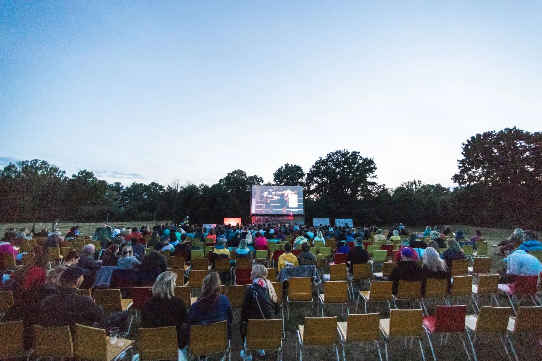 Film festivali gösteriminde salondaki izleyiciler