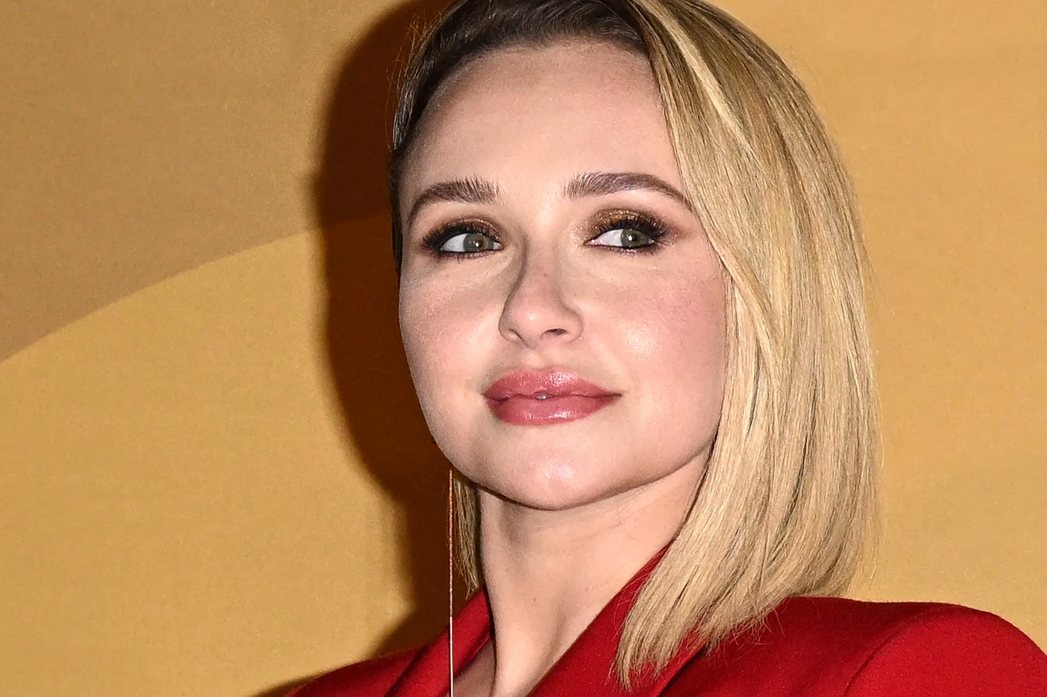 Hayden Panettiere Soruşturmasına DEA da Katıldı