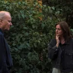 Nordic Council Film Ödülü adaylarını temsil eden sinema festivali atmosferi