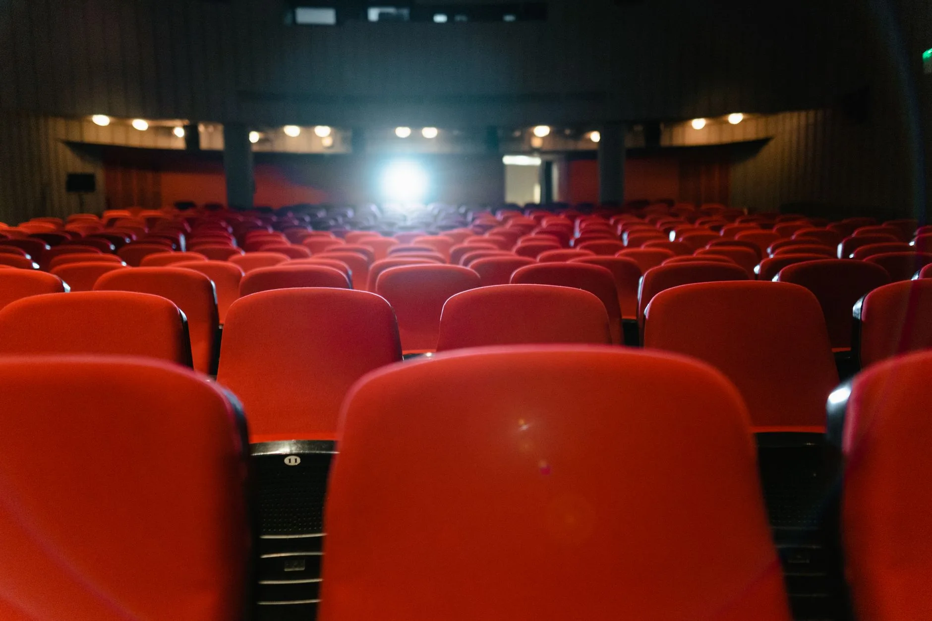 Film festivali gösteriminde salondaki izleyiciler