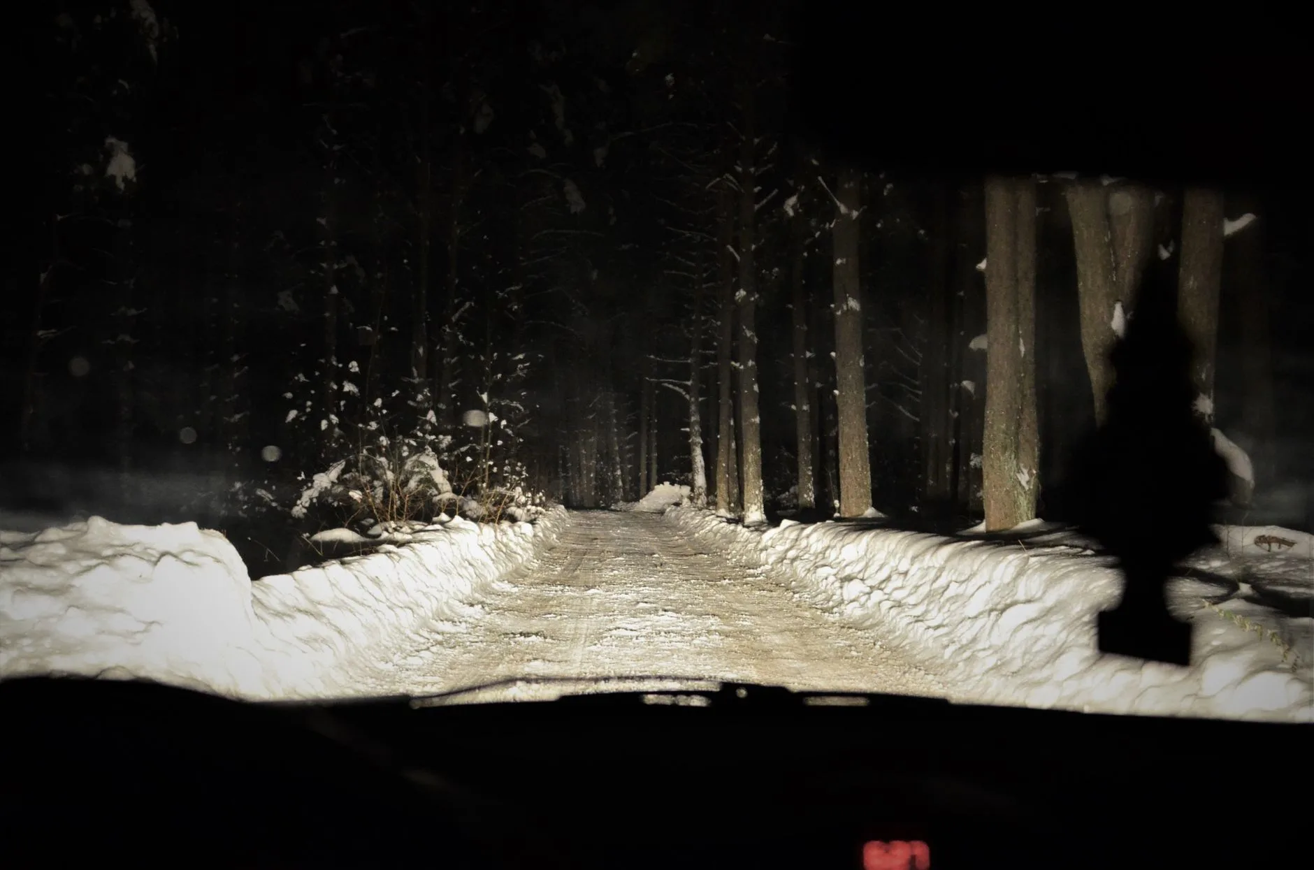 Gece karlı ormanda sürdürülen soruşturma