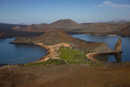 Galápagos Adaları’nda kayalık kıyıda penguen kolonisi