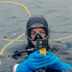 Kuzey Denizi’nin su altında görüntülenen renkli deniz yaşamı