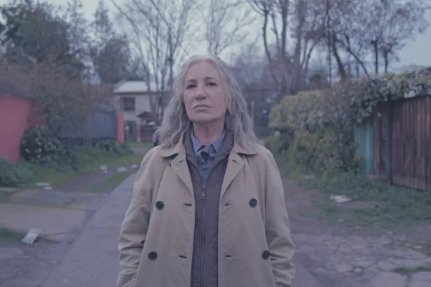 San Sebastián Film Festivali'ni temsil eden gece kırmızı halı atmosferi