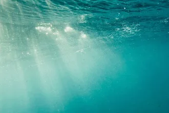 Deniz altında enerji üretmek üzere test edilen güneş panellerini temsil eden su altı görüntüsü