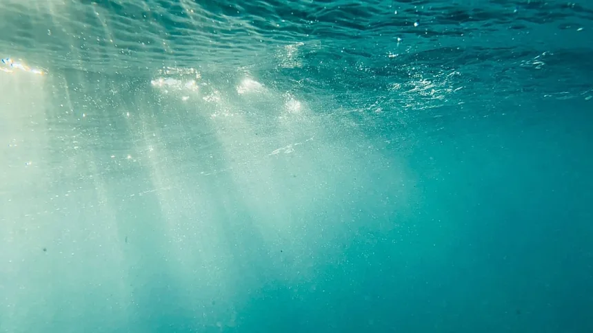Deniz altında enerji üretmek üzere test edilen güneş panellerini temsil eden su altı görüntüsü
