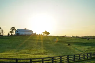 Kentucky’de kırsal bir çiftlik ve çevresindeki doğal manzara