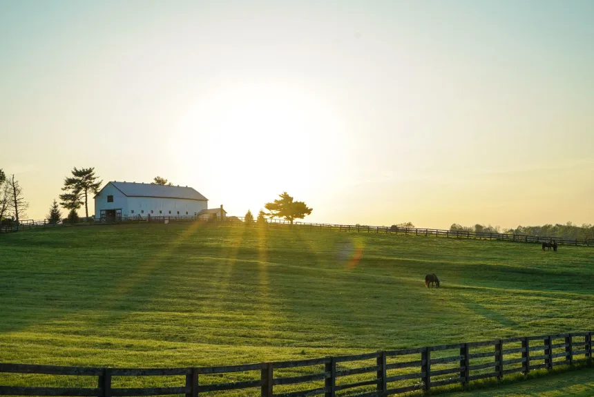 Kentucky’de kırsal bir çiftlik ve çevresindeki doğal manzara
